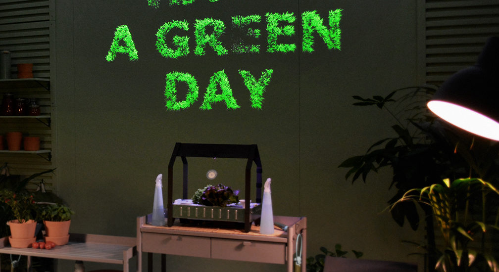 green-day-room green-day-room