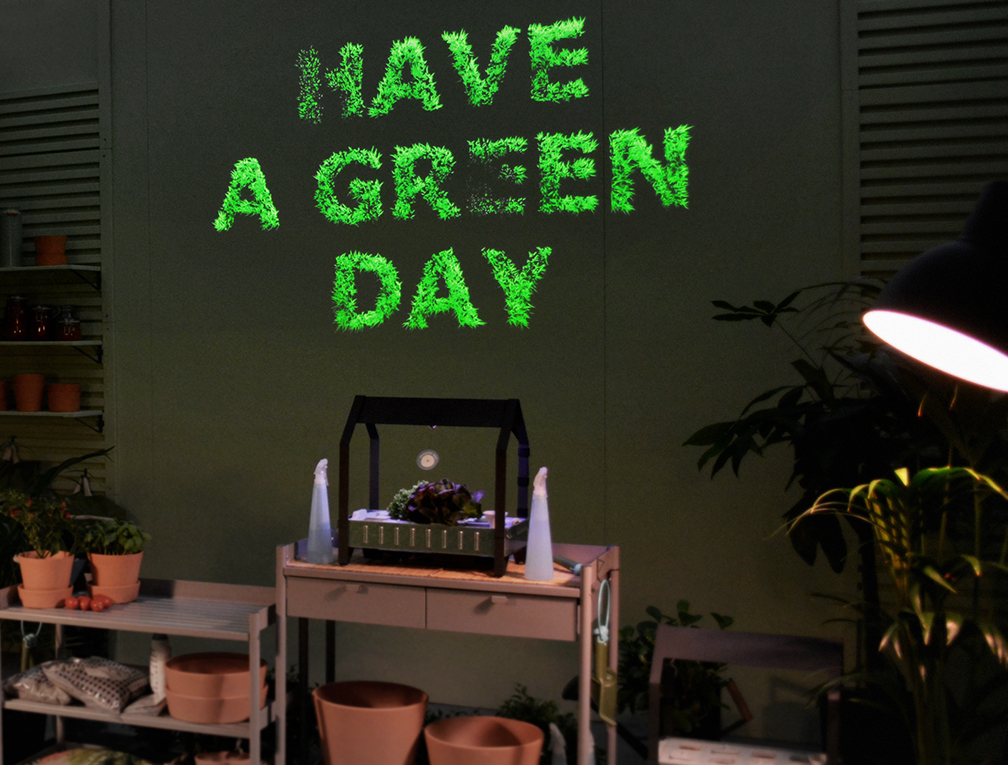 green-day-room green-day-room