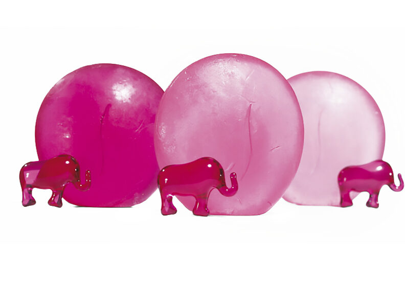 sephora-elephants sephora-elephants