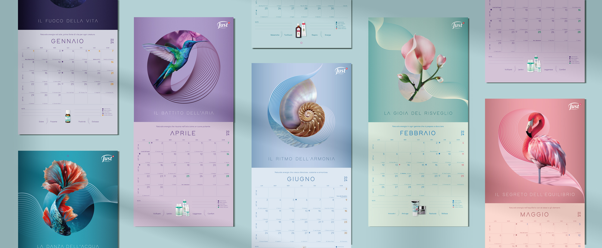 calendario-just-apertura calendario-just-apertura